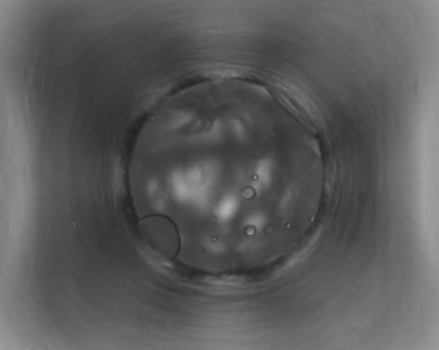 X0000112020359200908101407