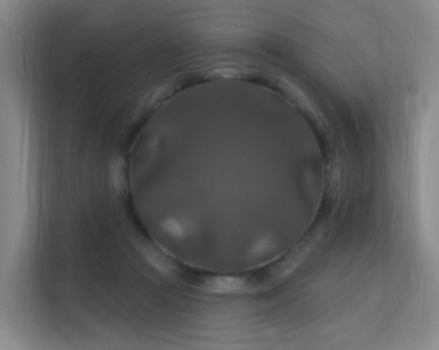 X0000112020361200908101407