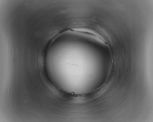 X0000112020362200908101407