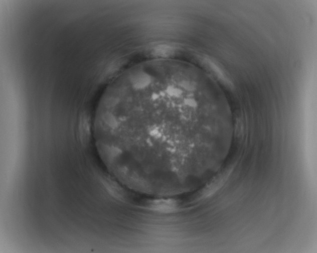 X0000112020363200908101407