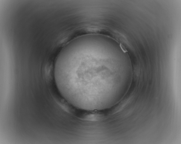 X0000112020364200908101407