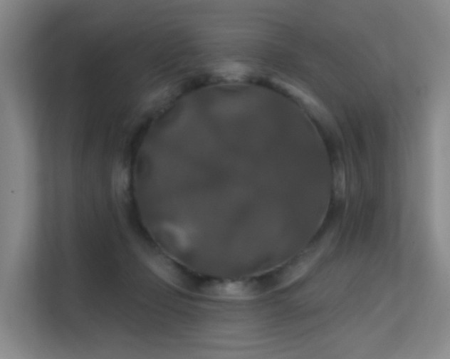 X0000112020365200908101407