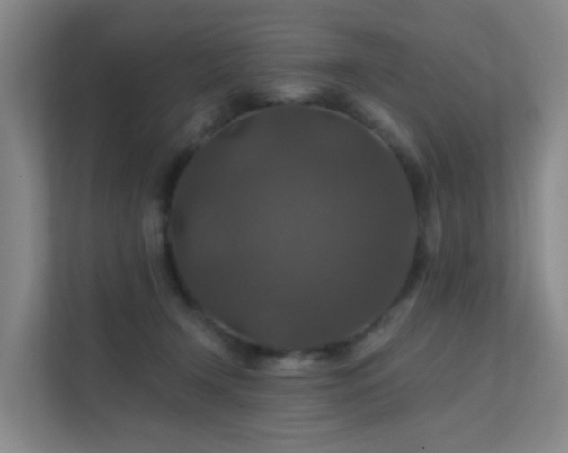 X0000112020366200908101407