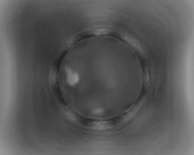 X0000112020367200908101407