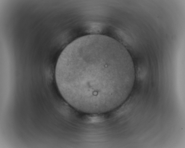 X0000112020370200908101407