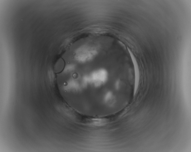 X0000112020371200908101407