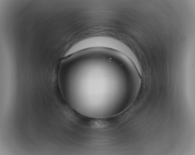 X0000112020372200908101407