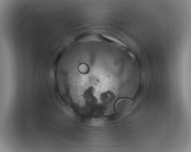 X0000112020373200908101407