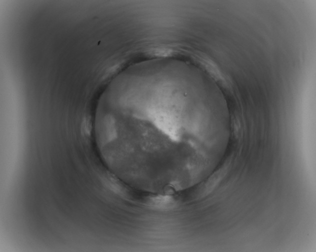 X0000112020374200908101407