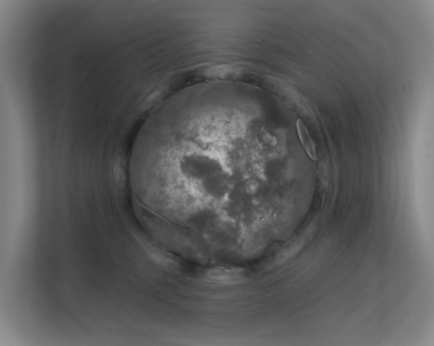 X0000112020375200908101407