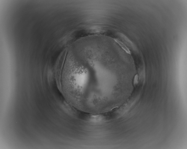 X0000112020376200908101407