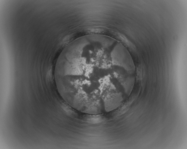 X0000112020377200908101407