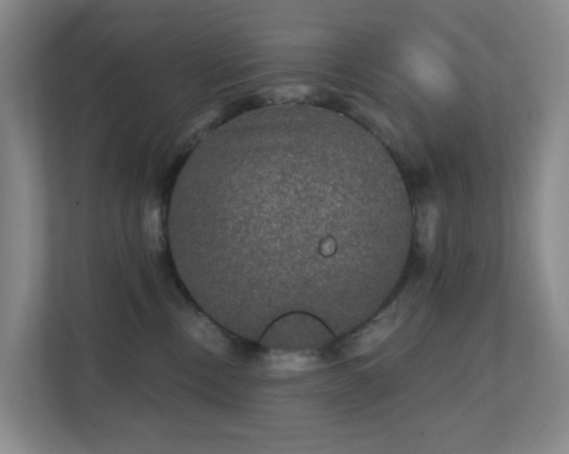 X0000112020378200908101407