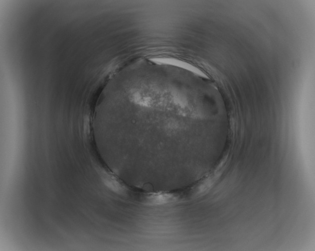 X0000112020379200908101407