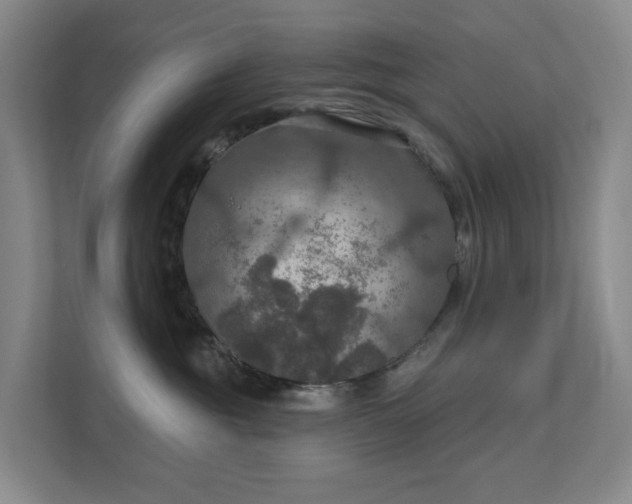 X0000112020381200908101407