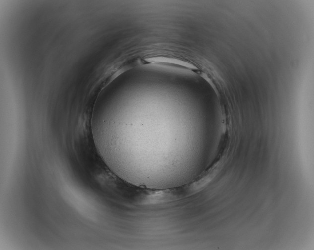 X0000112020382200908101407