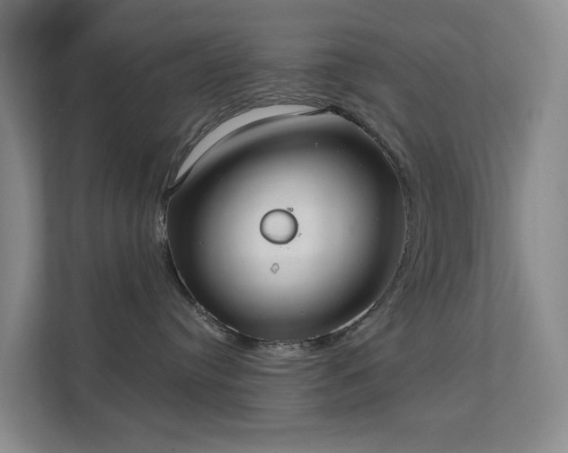 X0000112020384200908101407