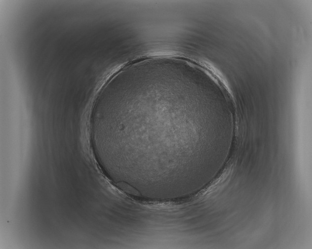 X0000112020385200908101407