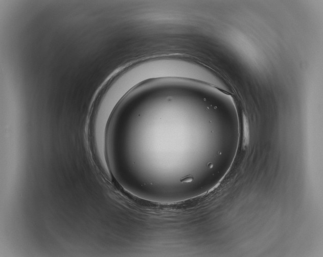 X0000112020387200908101407