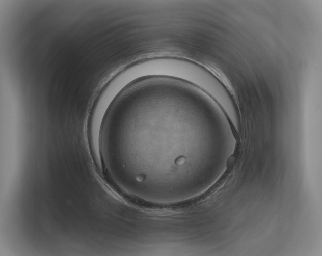 X0000112020389200908101407