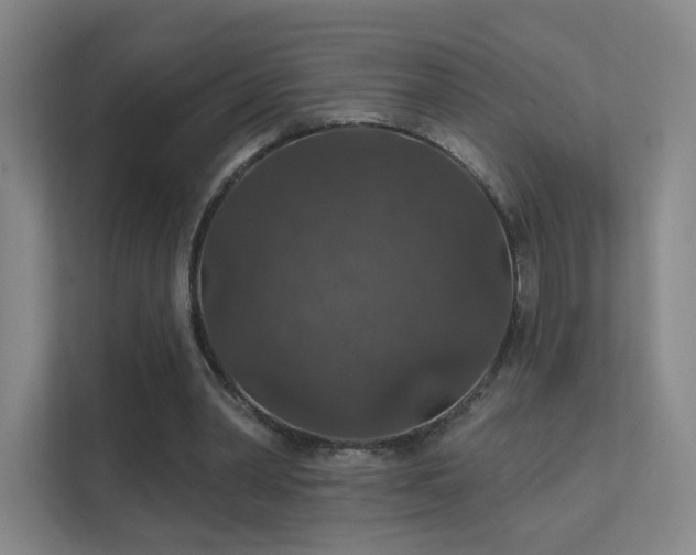 X0000112020390200908101407