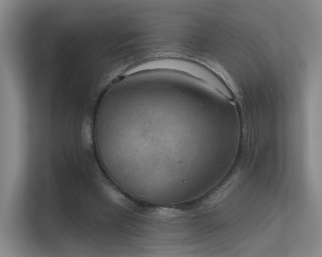 X0000112020393200908101407