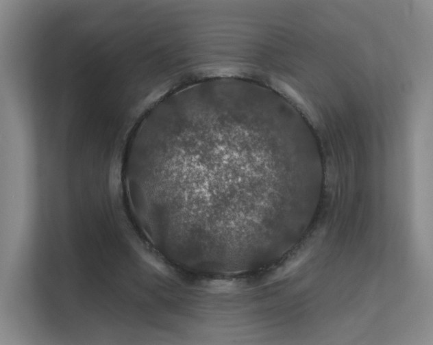 X0000112020394200908101407