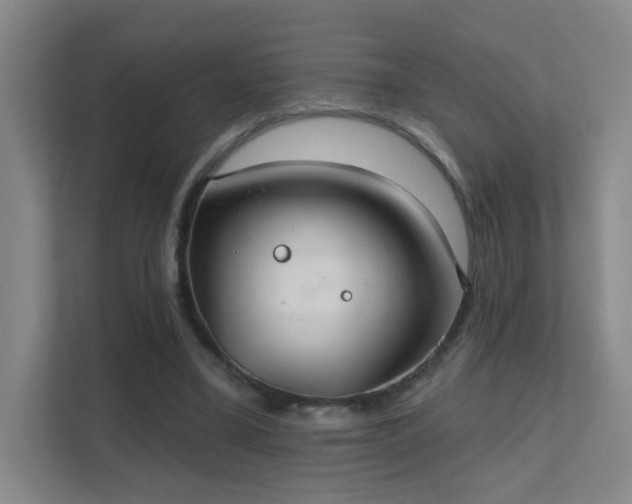 X0000112020395200908101407