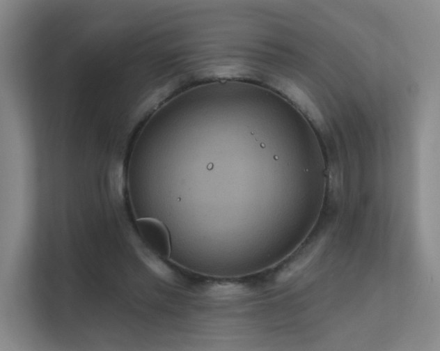 X0000112020397200908101407