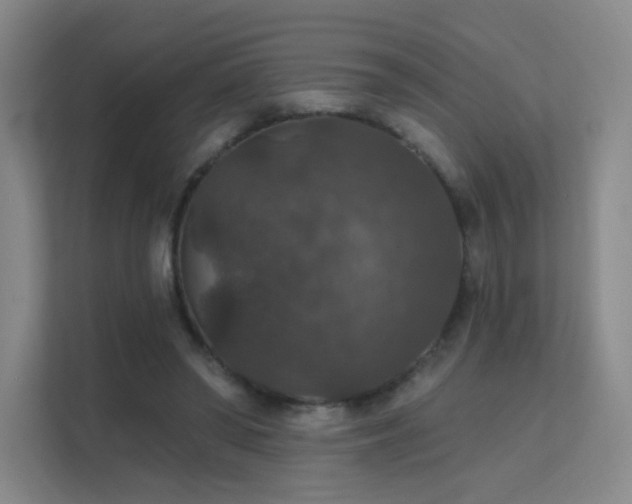 X0000112020398200908101406