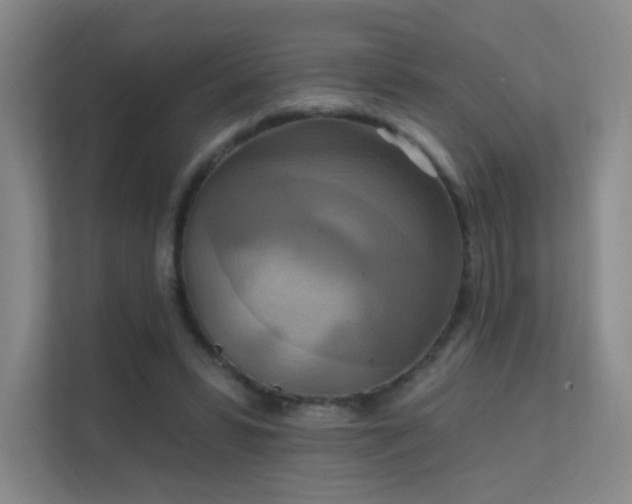 X0000112020399200908101406