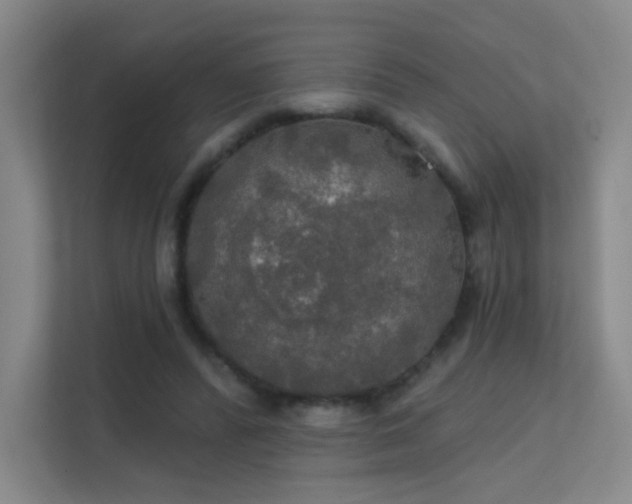 X0000112020400200908101406