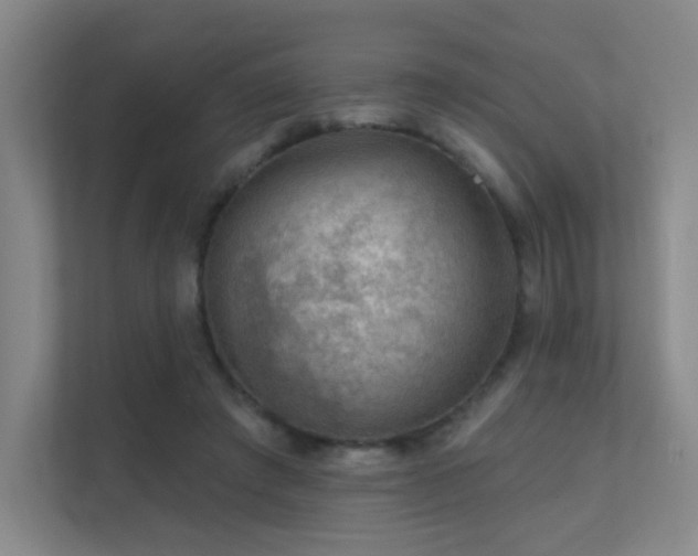 X0000112020401200908101406