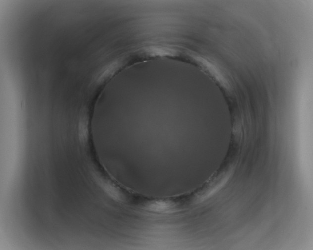 X0000112020402200908101406