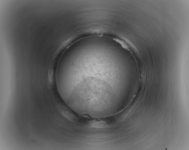 X0000112020403200908101406