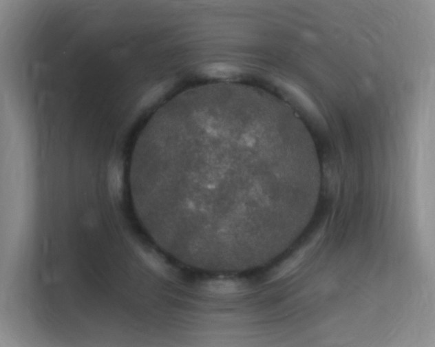 X0000112020404200908101406