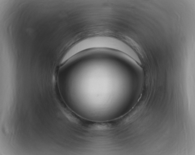 X0000112020405200908101406