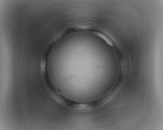 X0000112020406200908101406