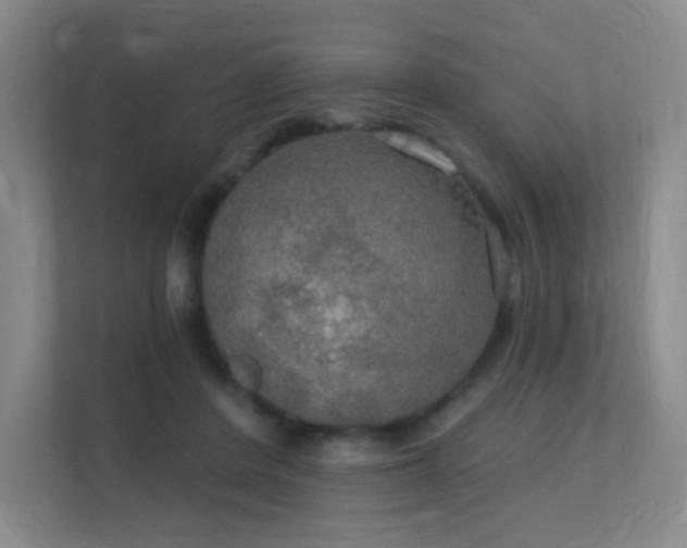 X0000112020408200908101406