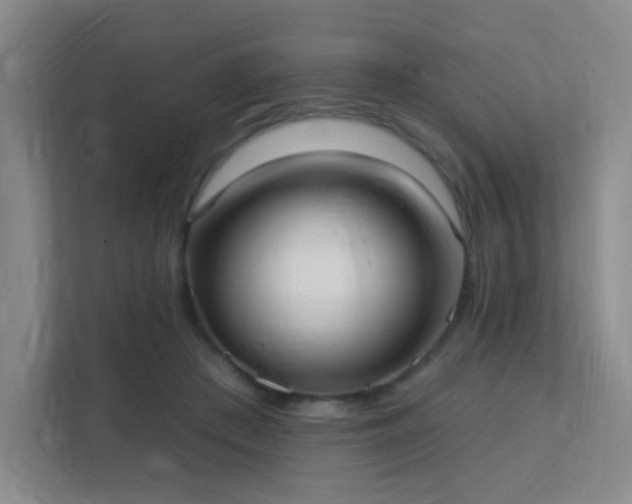 X0000112020409200908101406