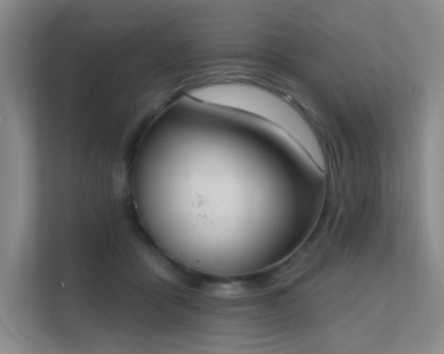 X0000112020411200908101406