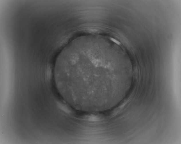 X0000112020412200908101406