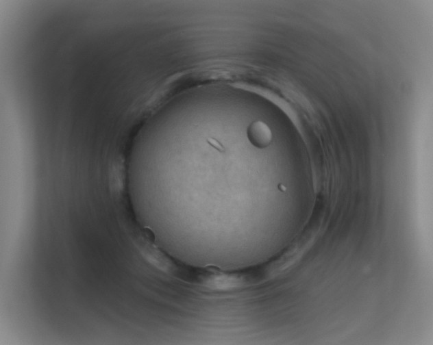 X0000112020413200908101406