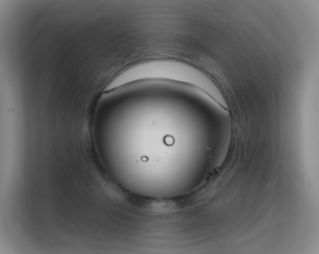 X0000112020415200908101406