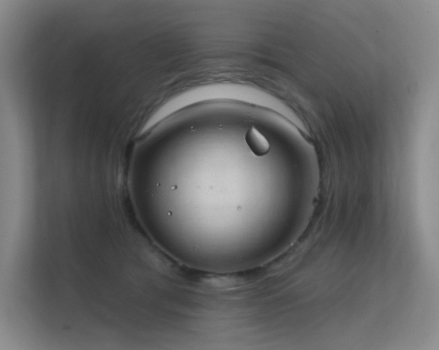 X0000112020417200908101406