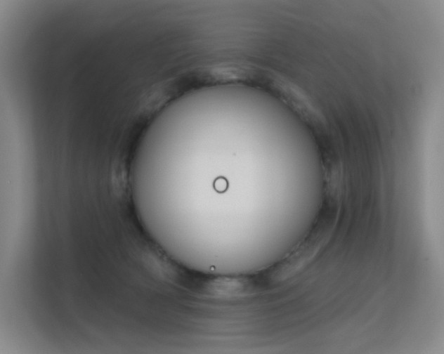 X0000112020418200908101406