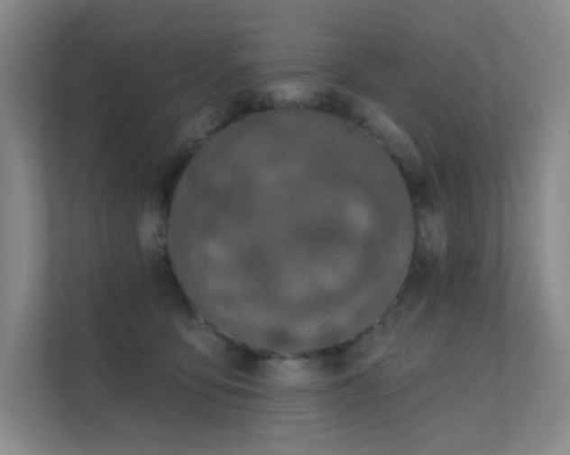 X0000112020419200908101406