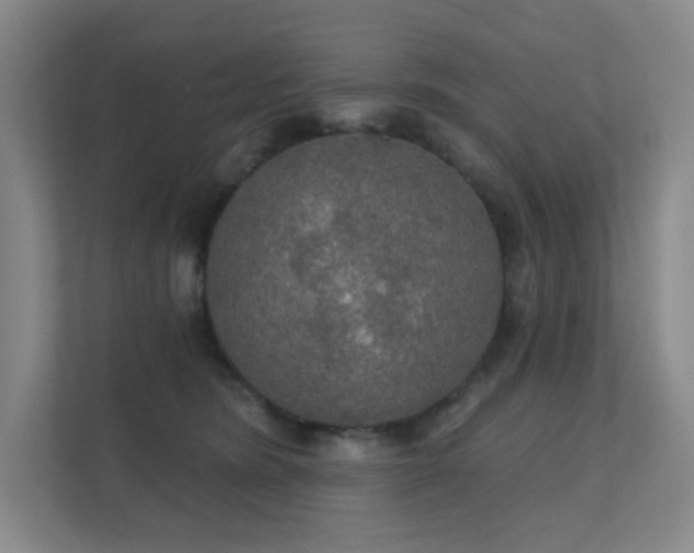 X0000112020420200908101406