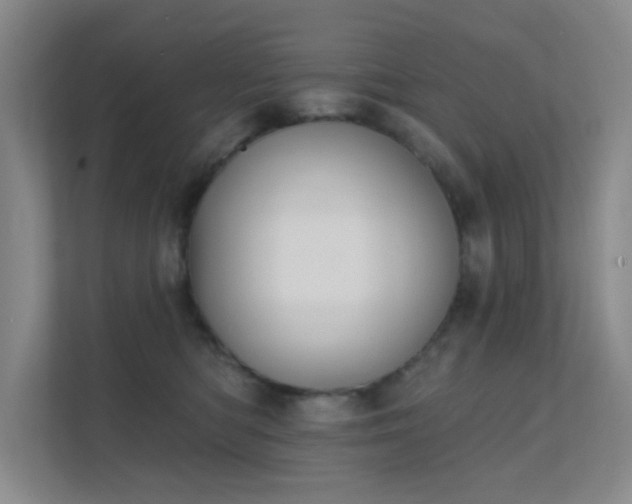 X0000112020422200908101406