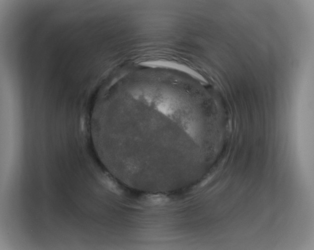 X0000112020424200908101406